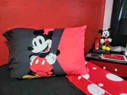 Mickey, twinbeds, 8 mi to WDW - Image 2